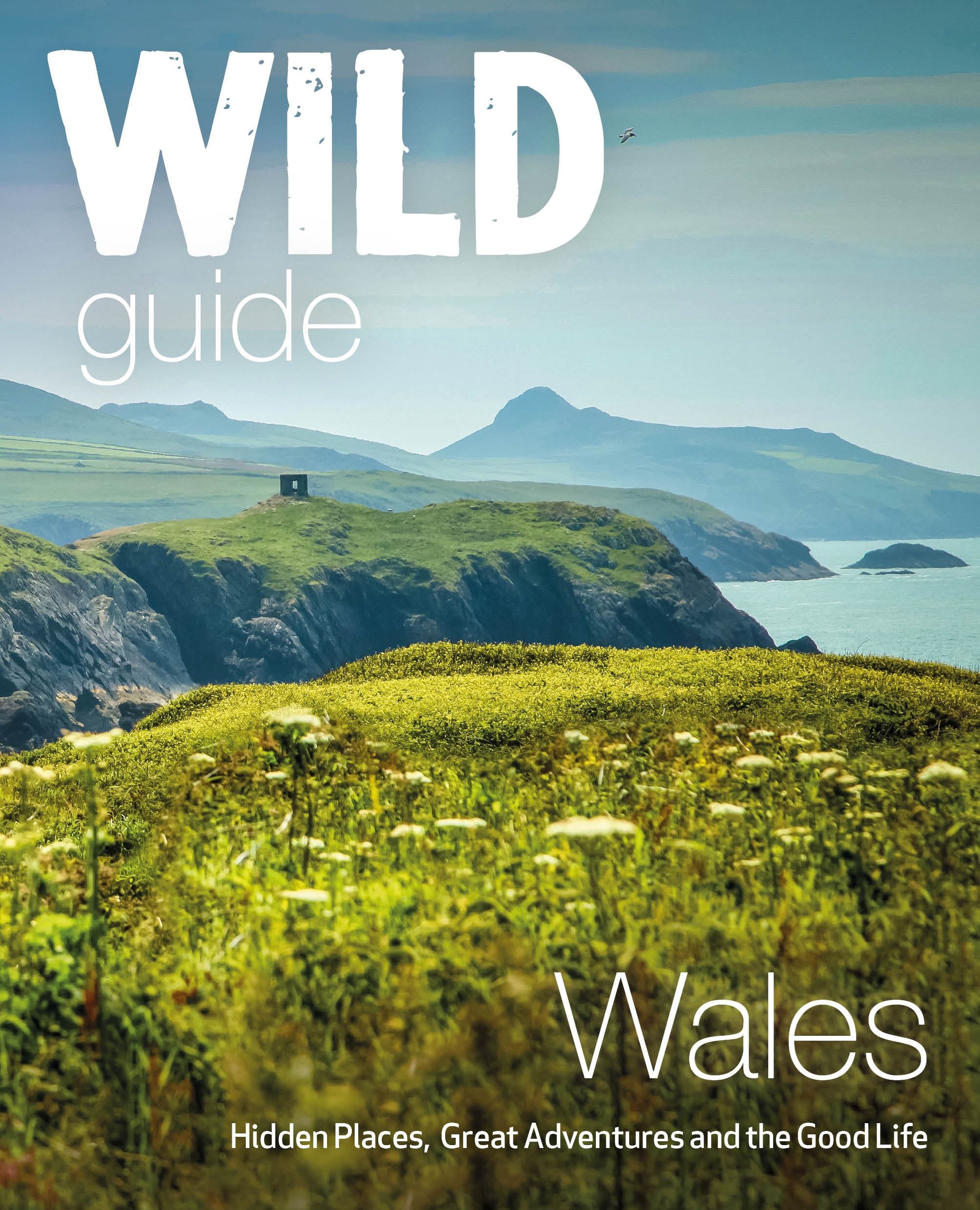 Wild Guide Wales