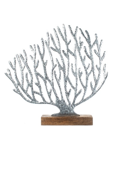 Sea Fan Coral