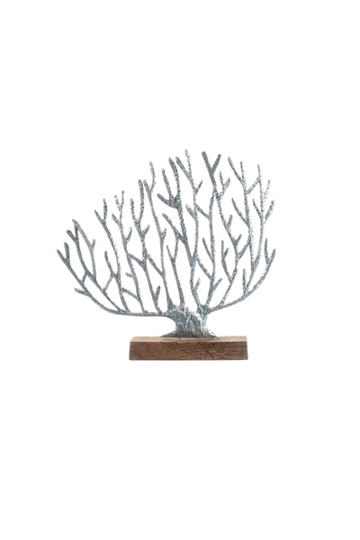 Sea Fan Coral